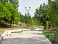 «Ανάσα» δροσιάς και πρασίνου στην παρόχθια ζώνη του Πηνειού 